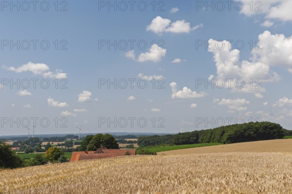 View from Coesfelder Berg, Münsterland, North Rhine-Westphalia, Germany