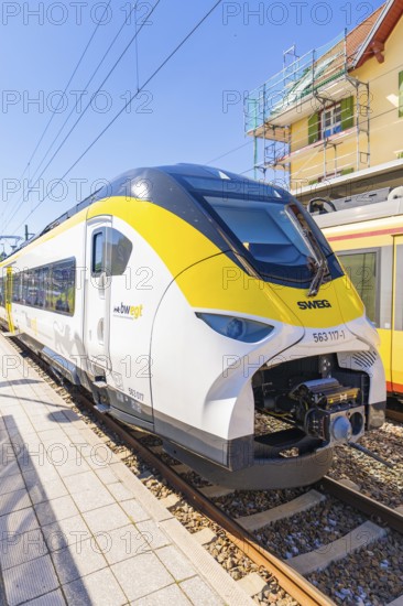 Yellow and white modern train on a sunlit platform, battery Electric train with green electricity, Siemens Mireo Plus B, Freudenstadt, Germany
