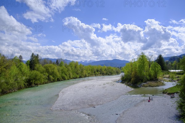 Isar near Lenggries, Upper Bavaria, Bavaria, Germany