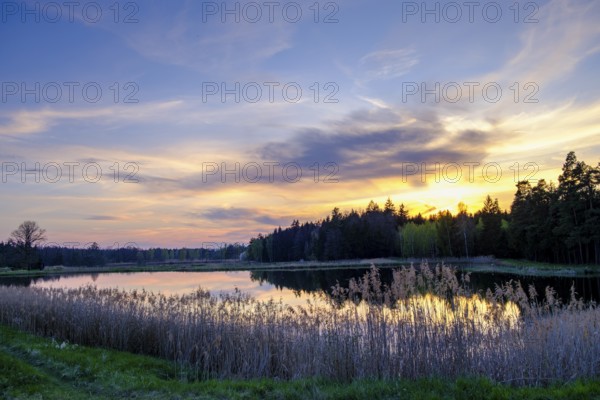 Sunset at the Tirschenreuther ponds, Große Teichpfanne, near Tirschenreuth, Upper Palatinate, Bavaria, Germany