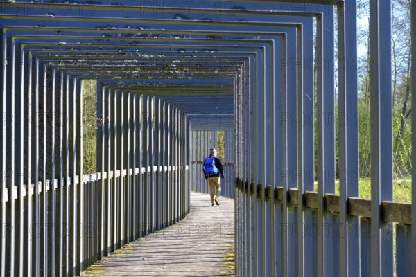Heusterzbrücke, Waldnaabaue, Große Teichpfanne, Vizinalradweg, near Tirschenreuth, Upper Palatinate, Bavaria, Germany