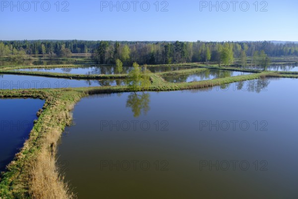 Tirschenreuther Teiche, Waldnaabaue, Große Teichpfanne, Vizinalradweg, near Tirschenreuth, Upper Palatinate, Bavaria, Germany