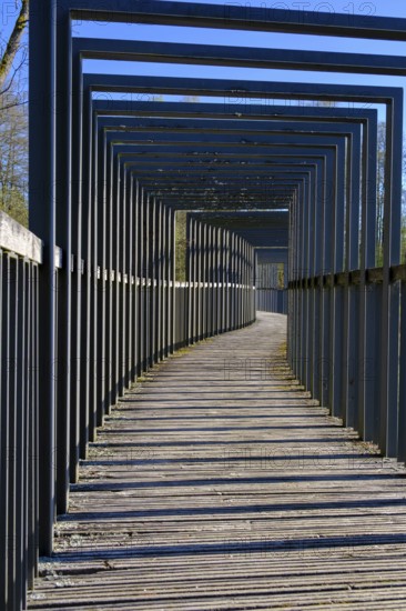 Heusterzbrücke, Waldnaabaue, Große Teichpfanne, Vizinalradweg, near Tirschenreuth, Upper Palatinate, Bavaria, Germany