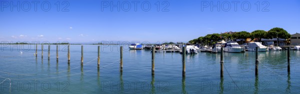 Grado Lagoon, Julian Friuli, Adriatic Sea, Italy