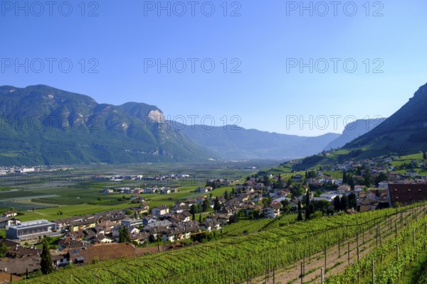 View over Tramin, South Tyrolean Wine Road, South Tyrol, Italy