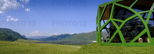 Tramin Winery, Tramin, Wine Route, South Tyrol, Italy