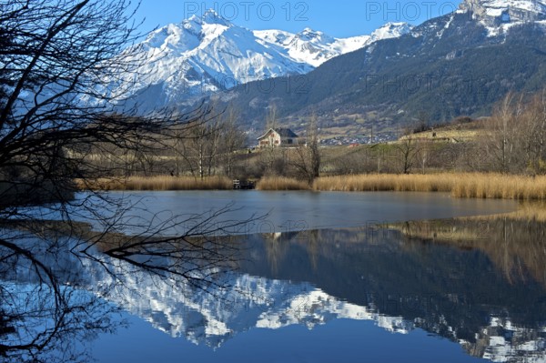 The snow-covered Haut de Cry mountain range is reflected in the Mont d'Orge lake, Lac de Mont d'Orge, Montorge, Sion, Valais, Switzerland