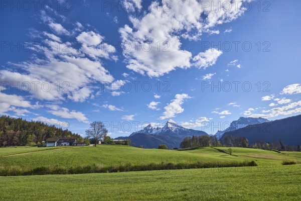 Landscape photography, mountain landscape, mountain Watzmann, Hochkalter, mountains, meadow, coniferous forest, trees, blue sky, cumulus clouds, Bischofswiesen, district Berchtesgadener Land, Bavaria, Germany