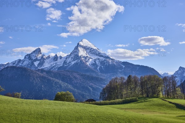 Mountain Watzmann, landscape photography, mountain landscape, mountains, meadow, coniferous forest, trees, blue sky, cumulus clouds, Bischofswiesen, district Berchtesgadener Land, Bavaria, Germany