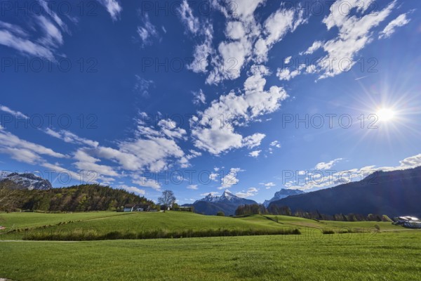 Landscape photography, mountain landscape, mountain Watzmann, Hochkalter, mountains, meadow, coniferous forest, trees, backlight of the sun, blue sky, cumulus clouds, Bischofswiesen, district Berchtesgadener Land, Bavaria, Germany