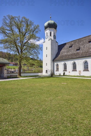 Parish church Herz-Jesu Bischofswiesen, church, church tower, street, lawn, hill, forest, tree, blue sky, town hall square, Bischofswiesen, district Berchtesgadener Land, Bavaria, Germany