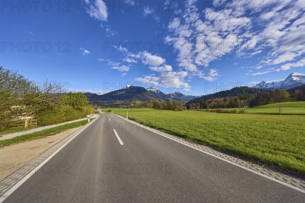 Road, centre line, meadow, landscape, mountain landscape, mountains, hills, trees, forest, blue sky, cumulus clouds, Aschauerweiherstraße, Bischofswiesen, district Berchtesgadener Land, Bavaria, Germany