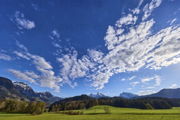 Weather, clouds, sky, landscape, mountains, meadow, coniferous forest, blue sky, cumulus clouds, Bischofswiesen, district Berchtesgadener Land, Bavaria, Germany