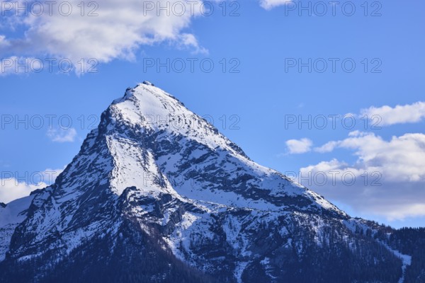 Mountain Watzmann, mountain peak, coniferous forest, blue sky, cumulus clouds, Bischofswiesen, district Berchtesgadener Land, Bavaria, Germany