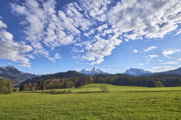 Landscape photography, mountain landscape, mountains, meadow, hill, coniferous forest, trees, blue sky, cumulus clouds, Bischofswiesen, district Berchtesgadener Land, Bavaria, Germany