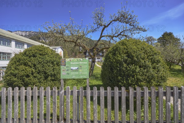 Biosphere flowering meadow, garden, trees, lawn, shrubs, wooden fence, general architecture, mountains, blue sky, cirrostratus clouds, Bischofswiesen, district Berchtesgadener Land, Bavaria, Germany