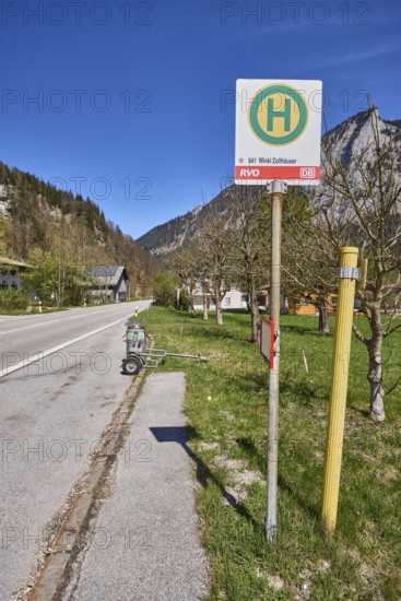 Bus stop Winkl Zollhäuser, road, mountain landscape, mountains, meadow, trees, coniferous forest, farmstead, mobile milk can, blue sky, federal road 20, Reichenhaller Straße, Bischofswiesen, district Berchtesgadener Land, Bavaria, Germany
