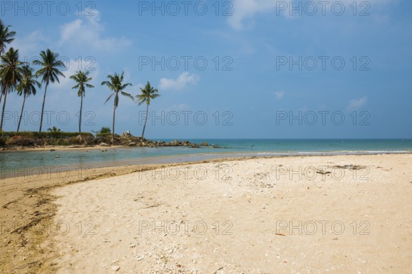 Sandy beach beach and coconut palms, Klong Khong Beach, Sala Dan, Ko Lanta, Koh Lanta, Krabi Province, Southern Thailand, Andaman Sea, Thailand