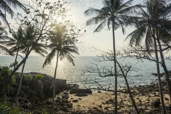 Sandy beach beach and coconut palms, Tricky-Trocky Beach, Sala Dan, Ko Lanta, Koh Lanta, Krabi Province, Southern Thailand, Andaman Sea, Thailand