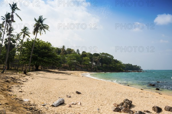 Sandy beach beach and coconut palms, Secret Beach, Sala Dan, Ko Lanta, Koh Lanta, Krabi Province, Southern Thailand, Andaman Sea, Thailand