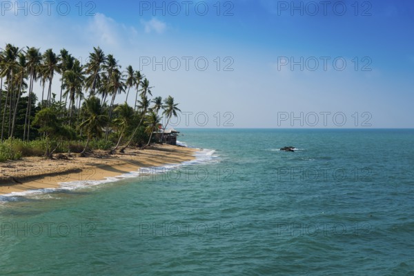 Sandy beach beach and coconut palms, Coconut Palm Beach, Sala Dan, Ko Lanta, Koh Lanta, Krabi Province, Southern Thailand, Andaman Sea, Thailand
