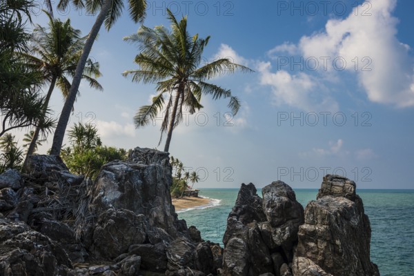 Rocks and coconut palms, Coconut Palm Beach, Sala Dan, Ko Lanta, Koh Lanta, Krabi Province, Southern Thailand, Andaman Sea, Thailand