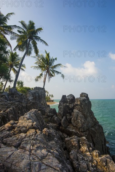 Rocks and coconut palms, Coconut Palm Beach, Sala Dan, Ko Lanta, Koh Lanta, Krabi Province, Southern Thailand, Andaman Sea, Thailand