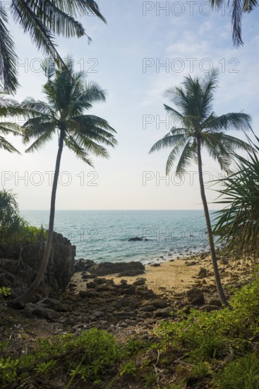 Sandy beach beach and coconut palms, Tricky-Trocky Beach, Sala Dan, Ko Lanta, Koh Lanta, Krabi Province, Southern Thailand, Andaman Sea, Thailand
