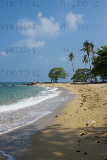 Sandy beach beach and coconut palms, Secret Beach, Sala Dan, Ko Lanta, Koh Lanta, Krabi Province, Southern Thailand, Andaman Sea, Thailand
