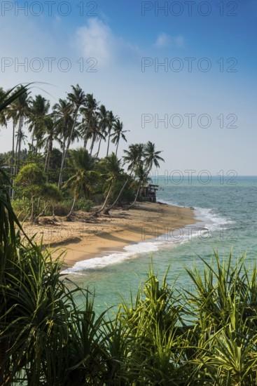 Sandy beach beach and coconut palms, Coconut Palm Beach, Sala Dan, Ko Lanta, Koh Lanta, Krabi Province, Southern Thailand, Andaman Sea, Thailand