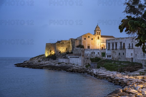 The church Chiesa di San Francesco at dusk, Vieste, Gargano, Apulia, Italy
