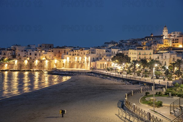 Old town and town beach Spiaggia di San Lorenzo at dusk, Vieste, Gargano, Apulia, Italy