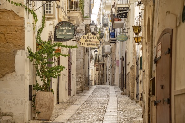 Narrow alley in the historic centre of Vieste, Gargano, Apulia, Italy