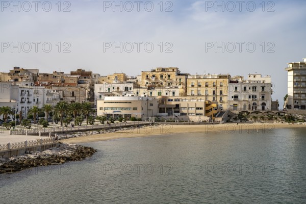 Old town and city beach Spiaggia di San Lorenzo in Vieste, Gargano, Apulia, Italy