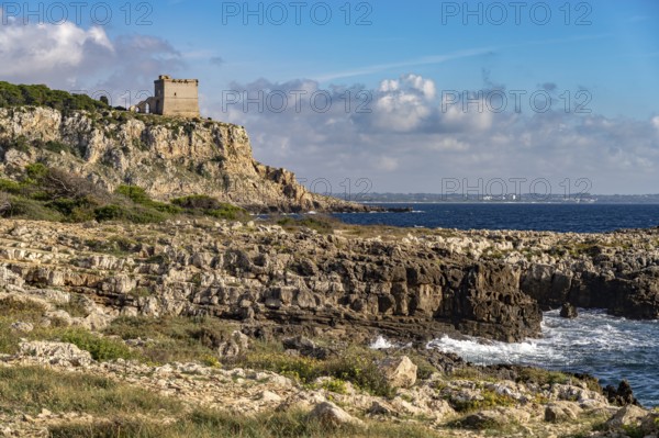 The Torre dell'Alto watchtower on the coast of the Porto Selvaggio nature reserve, Santa Caterina, Nardo, Apulia, Italy