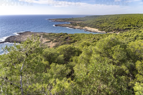 Landscape on the coast of the Porto Selvaggio nature reserve, Santa Caterina, Nardo, Apulia, Italy