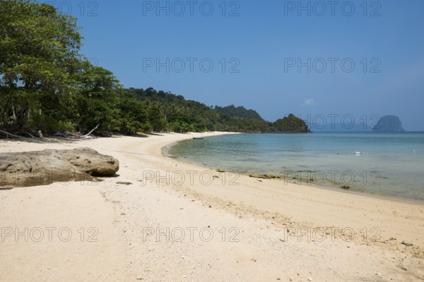 White sandy beach and coconut palms, Paradise Beach, Koh Great white shark, Ko Ngai, Krabi province, Trang, Southern Thailand, Andaman Sea, Thailand