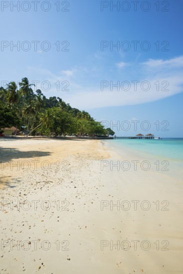 White sandy beach and coconut palms, Sunrise Beach, Koh Great white shark, Ko Ngai, Krabi Province, Trang, Southern Thailand, Andaman Sea, Thailand