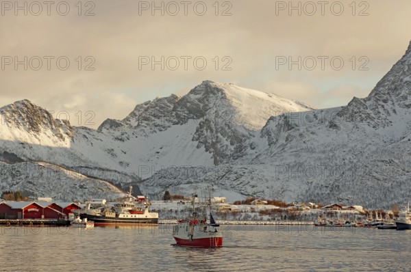 A harbour with fishing boats in front of snow-covered mountains at dusk, Myre, Vesteralen, Nordland, Arctic, Norway