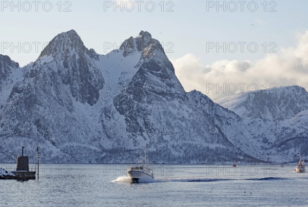 A motorboat sailing through the cool sea in front of snow-covered mountains in winter, Myre, Vesteralen, Nordland, Arctic, Norway