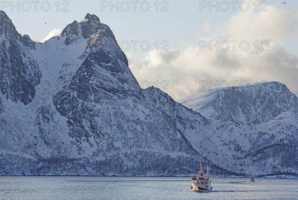 A fishing boat in calm waters in front of impressive snow-capped mountains, Myre, Vesteralen, Nordland, Arctic, Norway