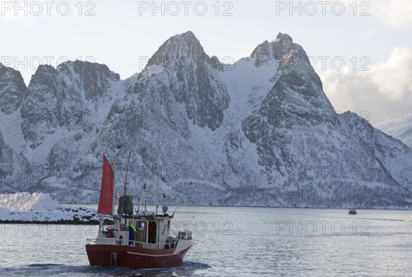 A red fishing boat sails through the wintry sea in front of snow-covered mountains, Myre, Vesteralen, Nordland, Arctic, Norway