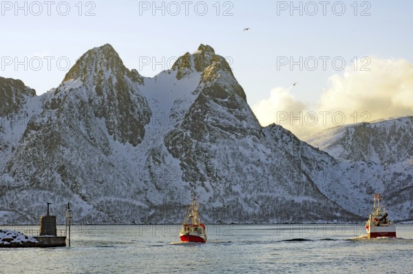 Two fishing boats sailing through the sea in front of snow-covered mountains, Myre, Vesteralen, Nordland, Arctic, Norway