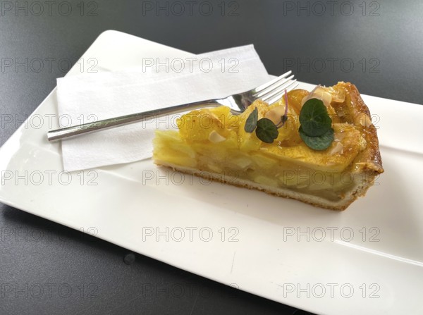 Piece of apple pie, cake fork, plate, napkin, food, Canton Schwyz, Switzerland