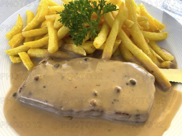 Portion of pepper steak, beef steak with pepper sauce, pepper sauce, French fries, on a plate, Food, Canton Schwyz, Switzerland