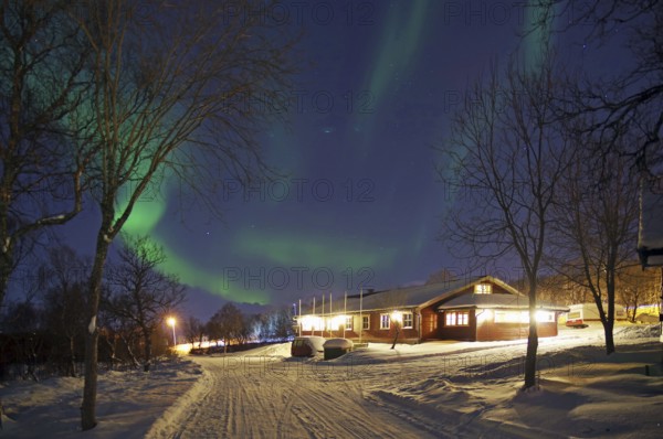 An illuminated house under auroras with snow-covered trees on a winter night, Sortland campsite, Vesteralen, Nordland, Arctic, Norway