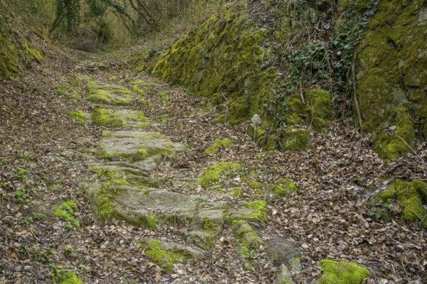 Römerstraße, Mautern an der Donau, Lower Austria, Austria