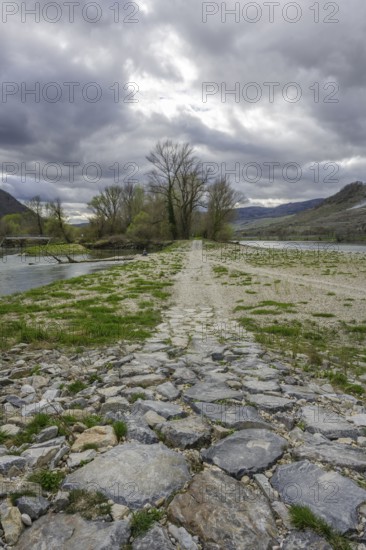 Treppelweg on the Danube island Pritzenau, Rührsdorf, Rossatz-Arnsdorf, Lower Austria, Austria