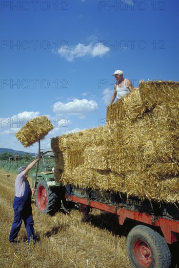 Hay harvest, farmers loading hay bales onto a wagon, Franconia, Bavaria, Germany
