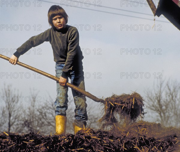 Boy, 10 years old, on a farm spreading cow dung on a dung heap, Franconia, Bavaria, Germany